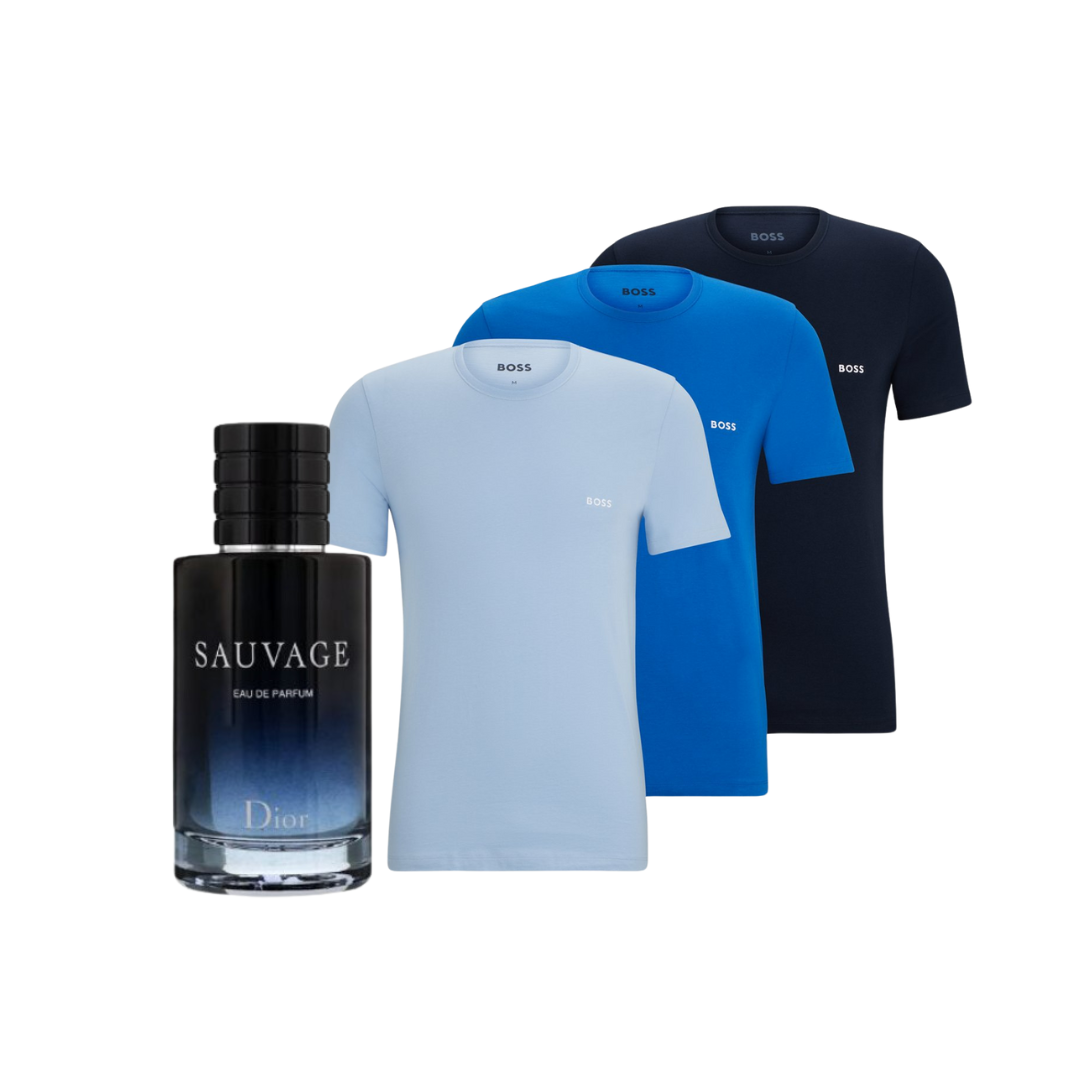 Camisetas Boss(3) + Perfume Sauvage Brinde